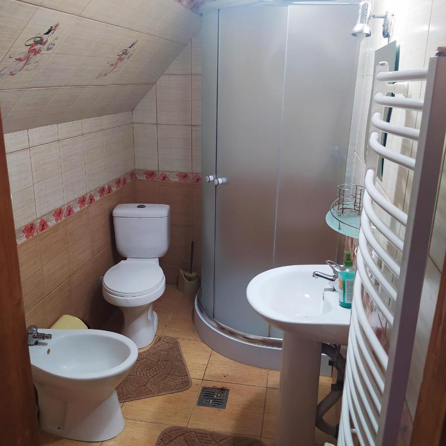 Мальва Apartment Lazeshchyna Bagian luar foto